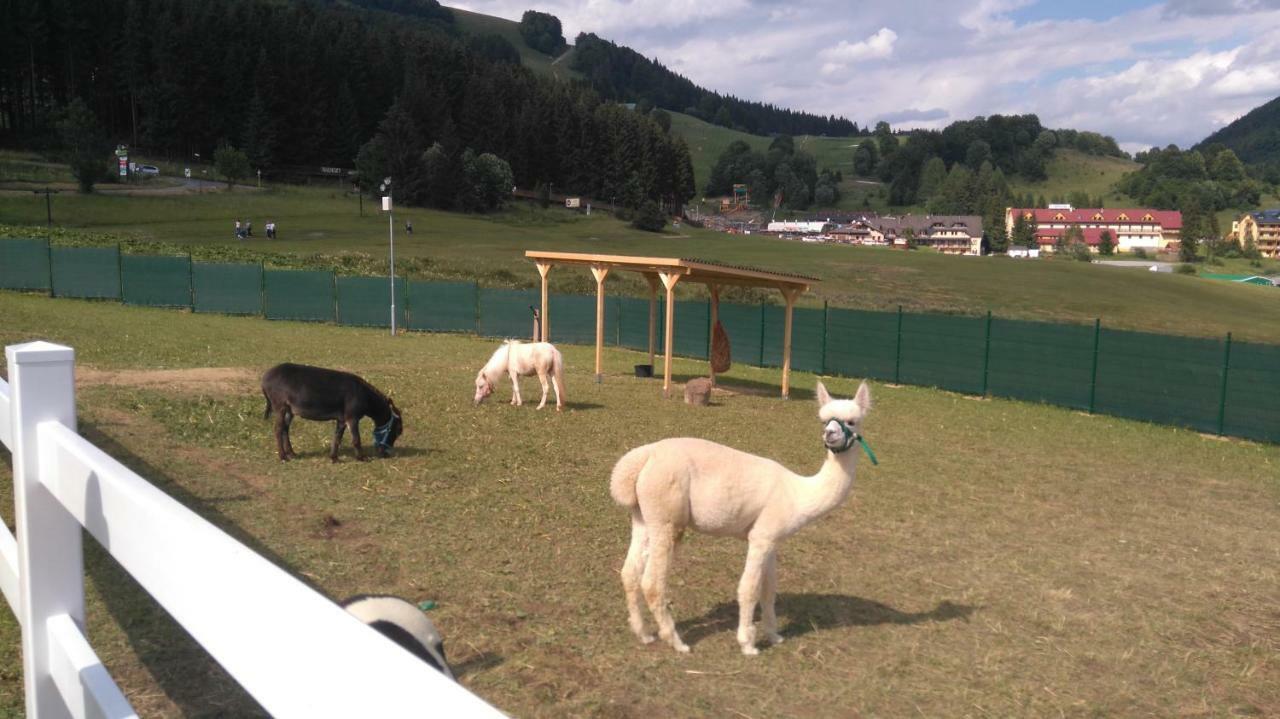 Donovaly AD Kamzík - apartmán 47 Esterno foto